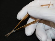 粉瘤くり抜き法「三種の神器」 ー剣（つるぎ）ー